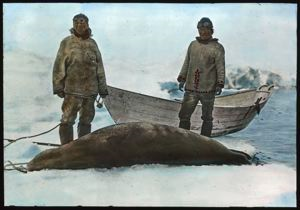 Image: Ookjuk, Large Seal, Baffin Land Expedition